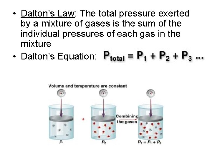  • Dalton’s Law: The total pressure exerted by a mixture of gases is