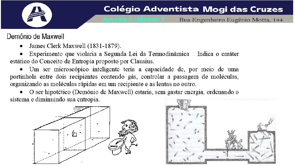 Apostila 2 / Módulo 3 Apostila 2 / Módulo 3