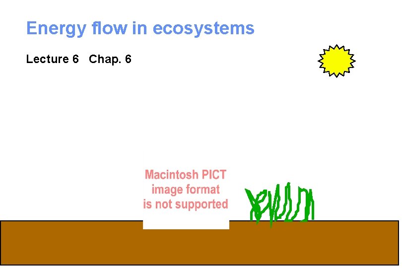Energy flow in ecosystems Lecture 6 Chap. 6 1 