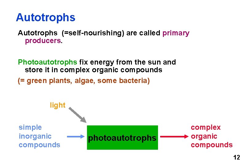 Autotrophs (=self-nourishing) are called primary producers. Photoautotrophs fix energy from the sun and store
