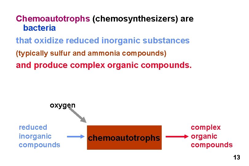 Chemoautotrophs (chemosynthesizers) are bacteria that oxidize reduced inorganic substances (typically sulfur and ammonia compounds)