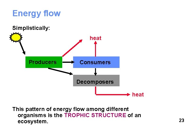 Energy flow Simplistically: heat Producers Consumers Decomposers heat This pattern of energy flow among