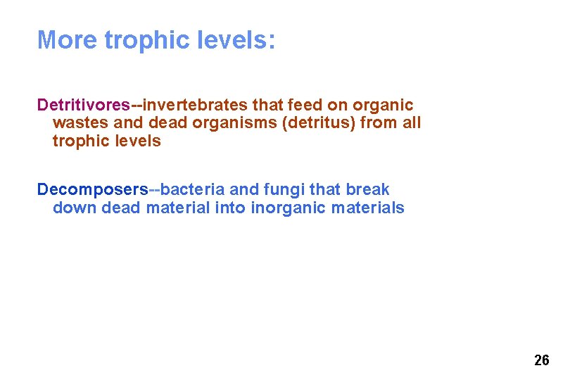 More trophic levels: Detritivores--invertebrates that feed on organic wastes and dead organisms (detritus) from