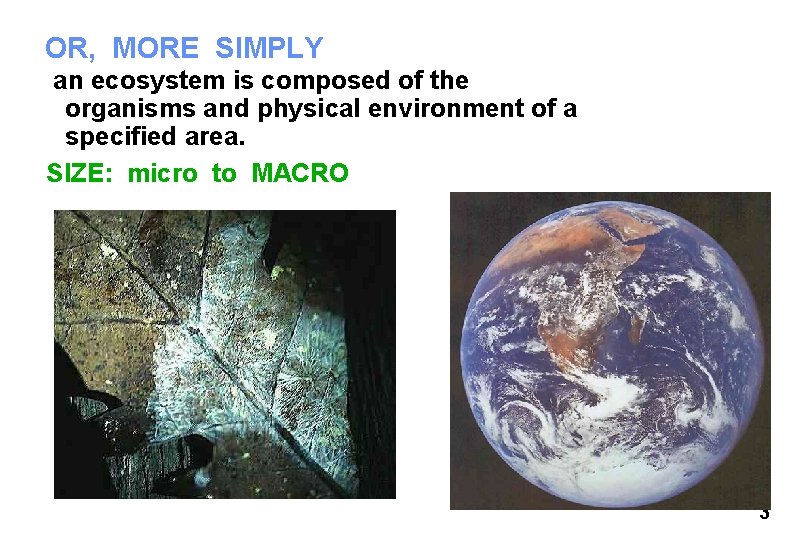 OR, MORE SIMPLY an ecosystem is composed of the organisms and physical environment of