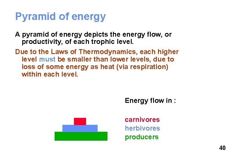 Pyramid of energy A pyramid of energy depicts the energy flow, or productivity, of