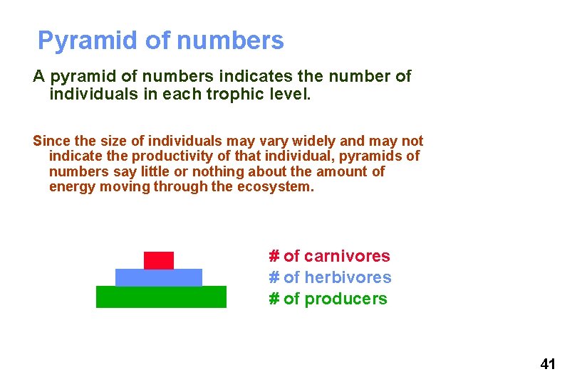 Pyramid of numbers A pyramid of numbers indicates the number of individuals in each