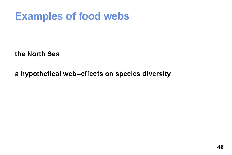 Examples of food webs the North Sea a hypothetical web--effects on species diversity 46