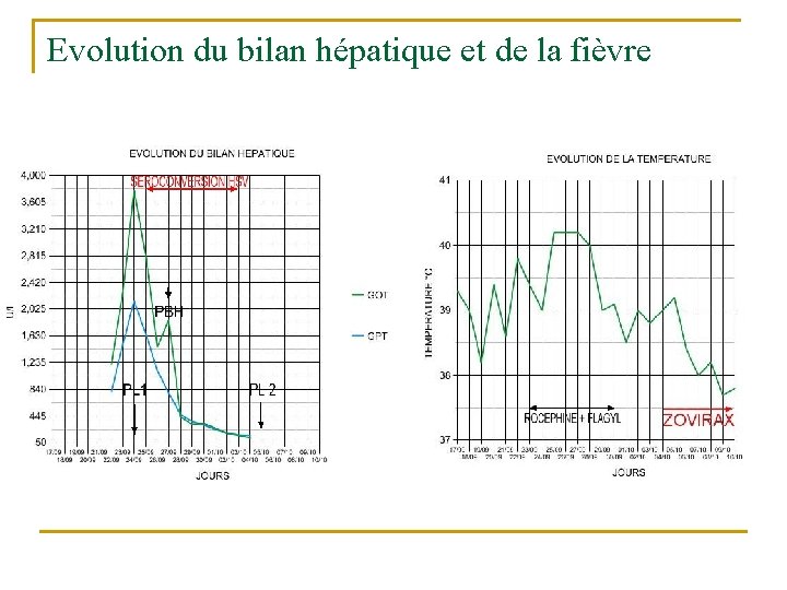 Evolution du bilan hépatique et de la fièvre 