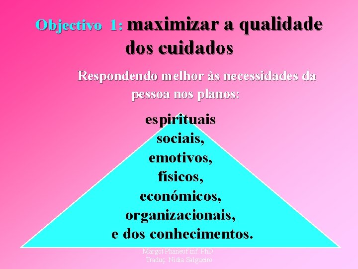 Objectivo 1: maximizar a qualidade dos cuidados Respondendo melhor às necessidades da pessoa nos