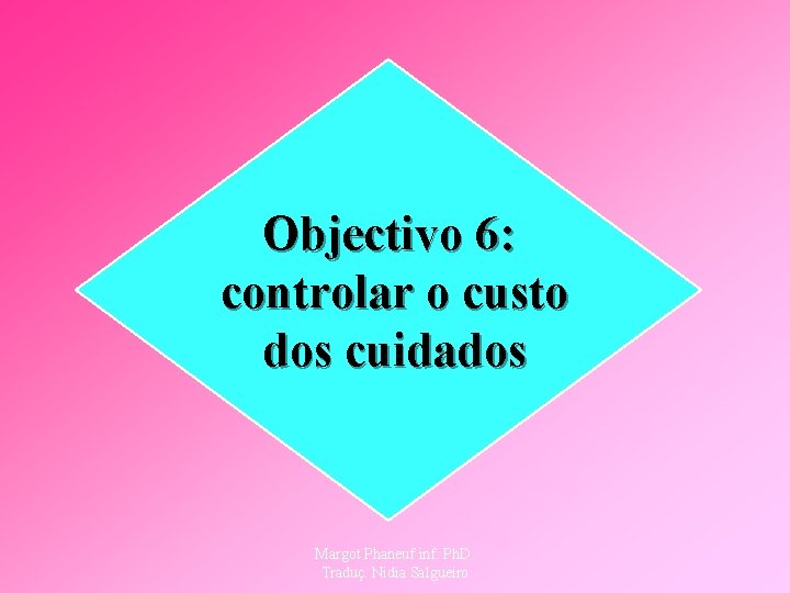 Objectivo 6: controlar o custo dos cuidados Margot Phaneuf inf. Ph. D. Traduç. Nidia