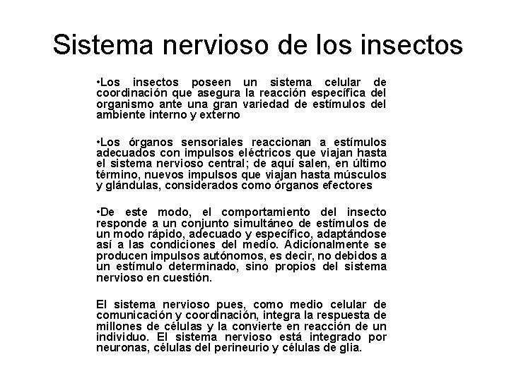 Sistema nervioso de los insectos • Los insectos poseen un sistema celular de coordinación