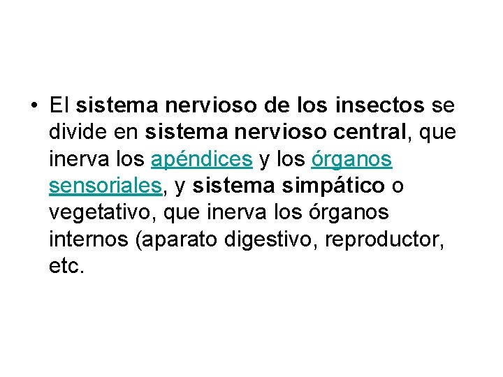  • El sistema nervioso de los insectos se divide en sistema nervioso central,