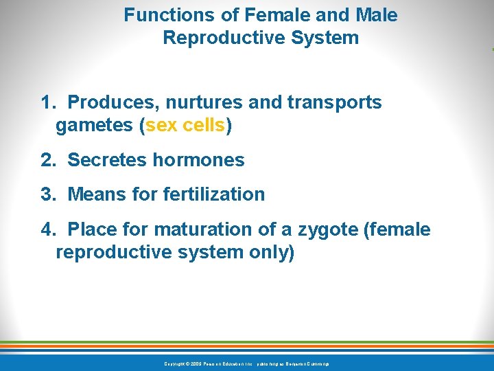 Functions of Female and Male Reproductive System 1. Produces, nurtures and transports gametes (sex