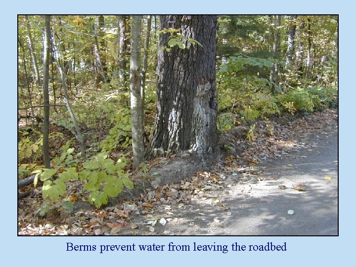 Berms prevent water from leaving the roadbed 