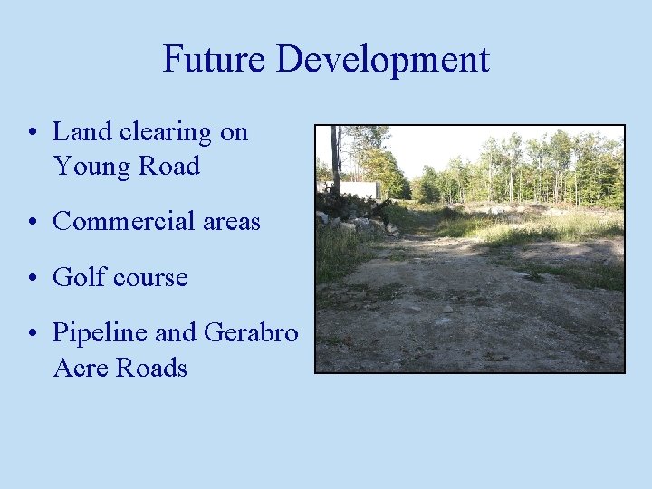 Future Development • Land clearing on Young Road • Commercial areas • Golf course