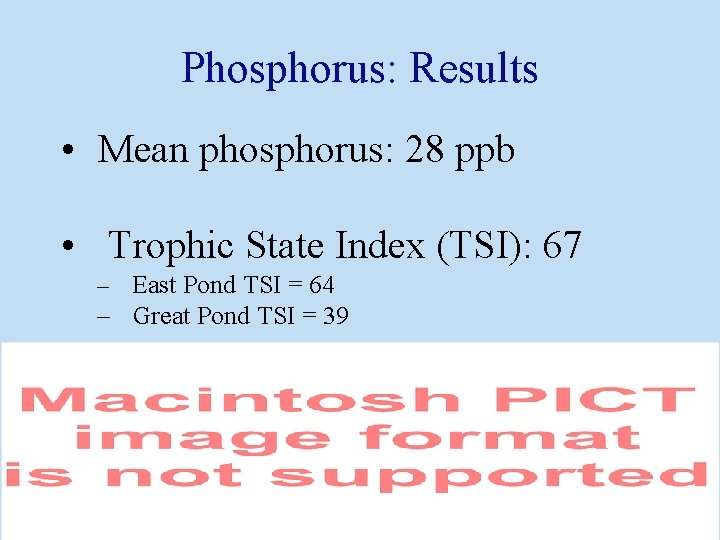 Phosphorus: Results • Mean phosphorus: 28 ppb • Trophic State Index (TSI): 67 –