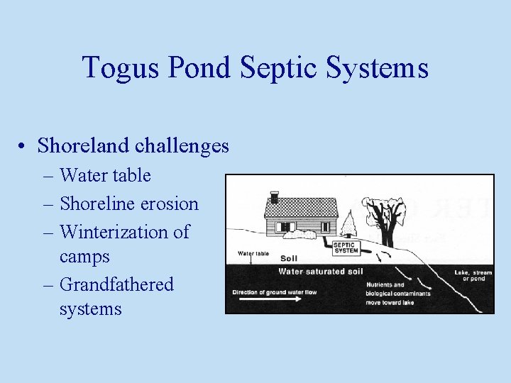 Togus Pond Septic Systems • Shoreland challenges – Water table – Shoreline erosion –