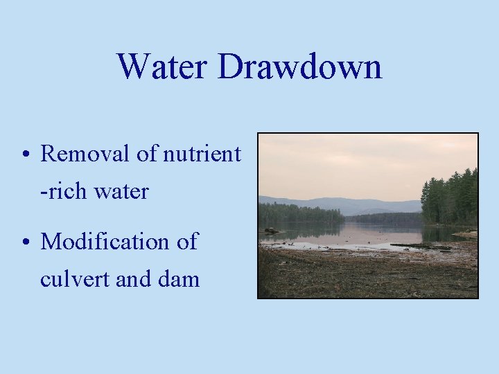 Water Drawdown • Removal of nutrient -rich water • Modification of culvert and dam