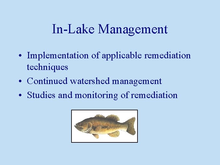 In-Lake Management • Implementation of applicable remediation techniques • Continued watershed management • Studies
