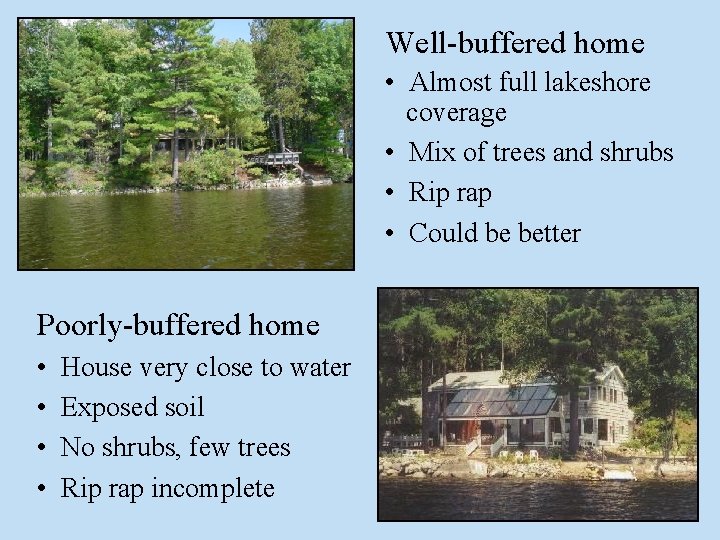 Well-buffered home • Almost full lakeshore coverage • Mix of trees and shrubs •