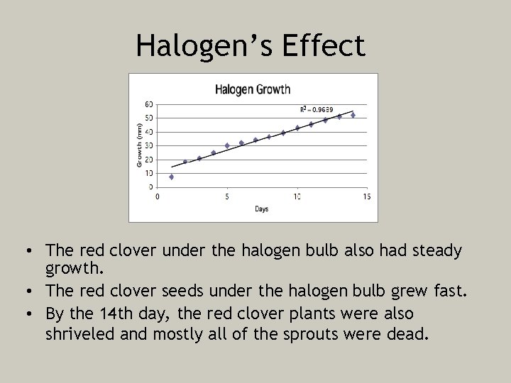 Halogen’s Effect • The red clover under the halogen bulb also had steady growth.