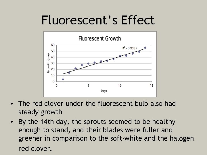 Fluorescent’s Effect • The red clover under the fluorescent bulb also had steady growth