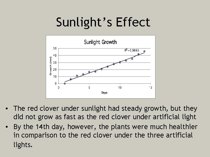 Sunlight’s Effect • The red clover under sunlight had steady growth, but they did