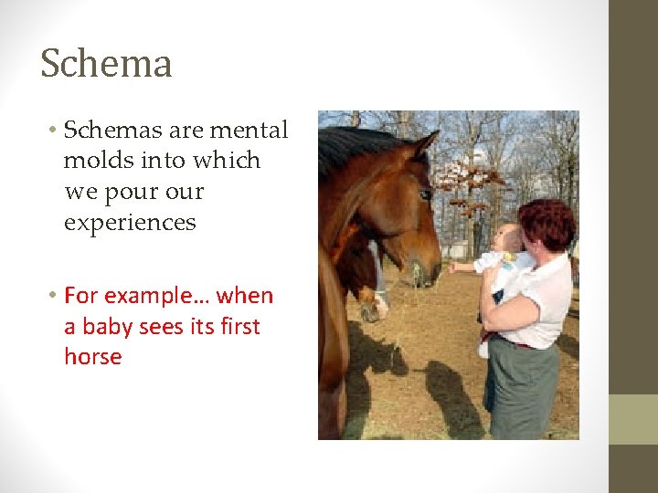 Schema • Schemas are mental molds into which we pour experiences • For example…