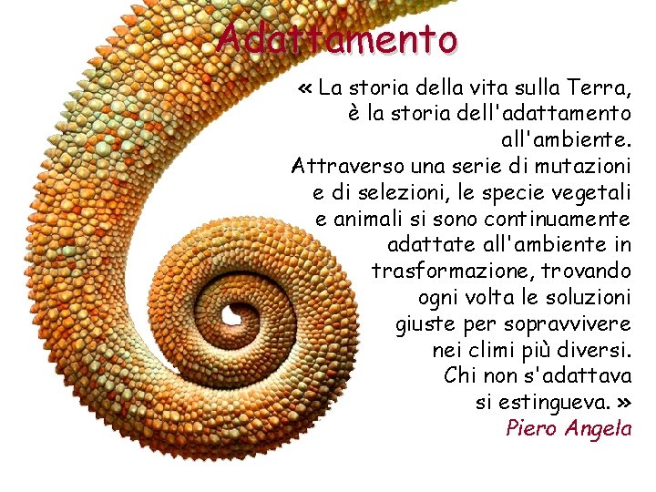 Adattamento « La storia della vita sulla Terra, è la storia dell'adattamento all'ambiente. Attraverso