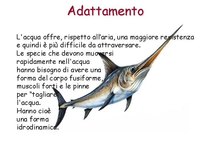 Adattamento L'acqua offre, rispetto all’aria, una maggiore resistenza e quindi è più difficile da