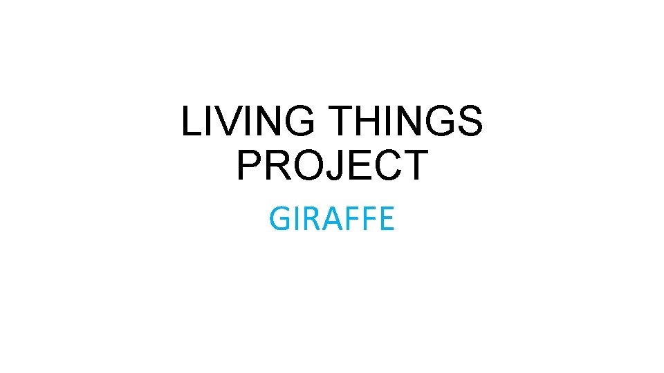 LIVING THINGS PROJECT GIRAFFE 