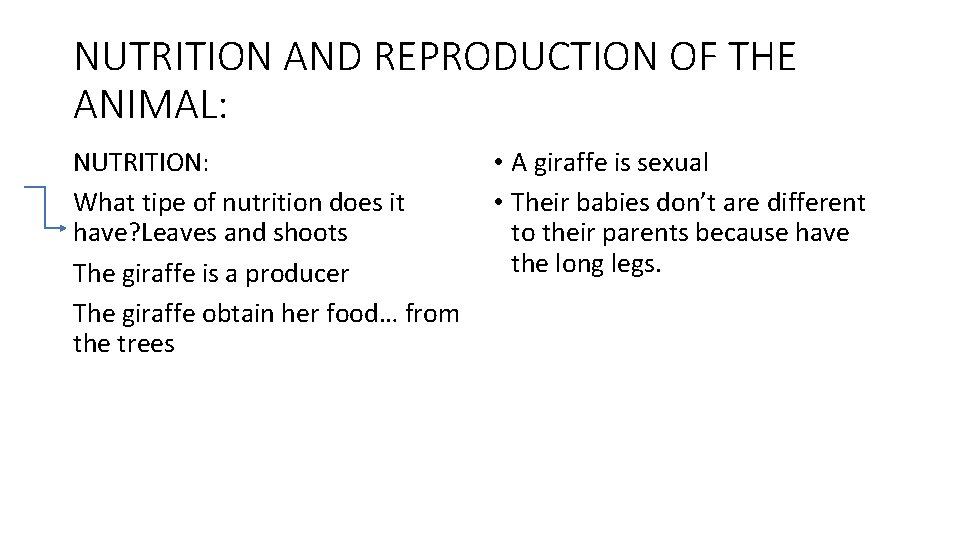 NUTRITION AND REPRODUCTION OF THE ANIMAL: NUTRITION: What tipe of nutrition does it have?