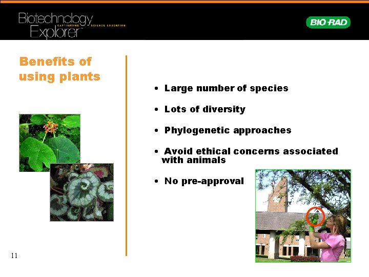 Benefits of using plants • Large number of species • Lots of diversity •