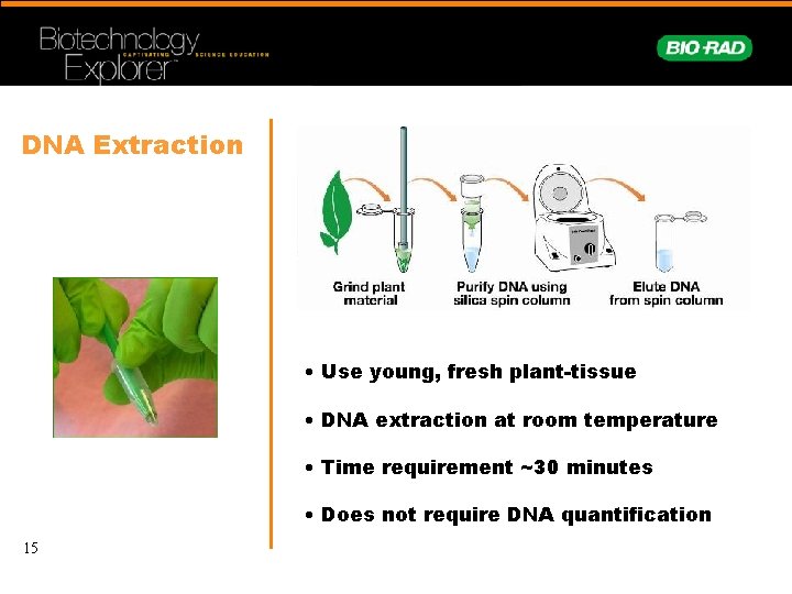 DNA Extraction • Use young, fresh plant-tissue • DNA extraction at room temperature •