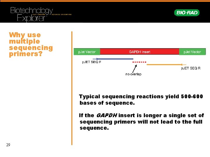 Why use multiple sequencing primers? Typical sequencing reactions yield 500 -600 bases of sequence.