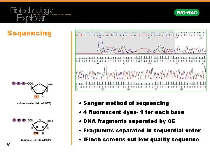 Sequencing • Sanger method of sequencing • 4 fluorescent dyes- 1 for each base