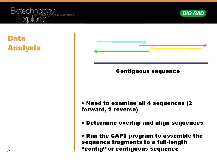 Data Analysis Contiguous sequence • Need to examine all 4 sequences (2 forward, 2