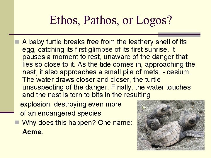 Ethos, Pathos, or Logos? n A baby turtle breaks free from the leathery shell