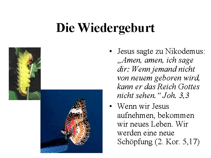 Die Wiedergeburt • Jesus sagte zu Nikodemus: „Amen, amen, ich sage dir: Wenn jemand