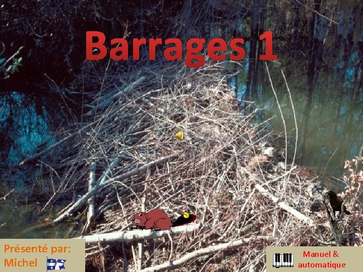 Barrages 1 Présenté par: Michel Manuel & automatique 