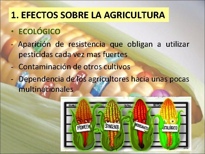 1. EFECTOS SOBRE LA AGRICULTURA • ECOLÓGICO - Aparición de resistencia que obligan a