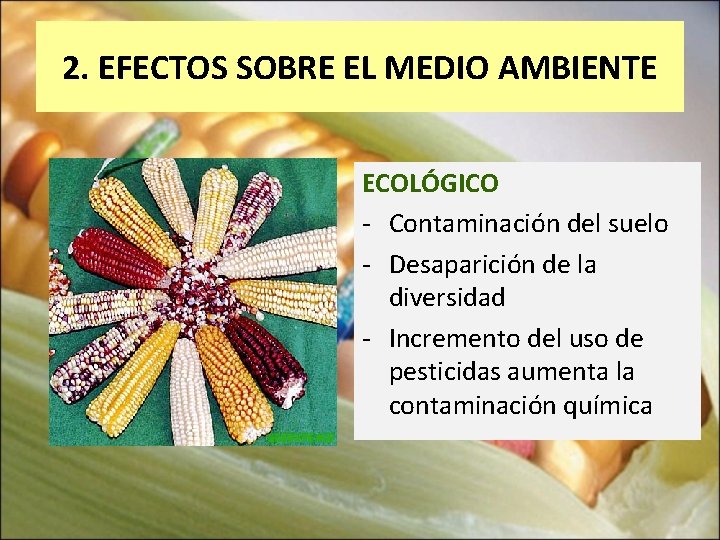 2. EFECTOS SOBRE EL MEDIO AMBIENTE ECOLÓGICO - Contaminación del suelo - Desaparición de