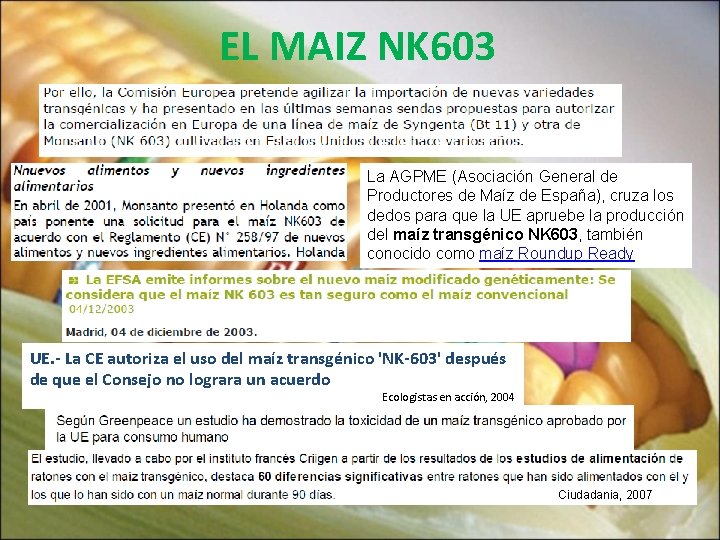 EL MAIZ NK 603 La AGPME (Asociación General de Productores de Maíz de España),