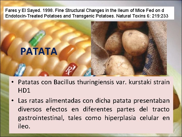 Fares y El Sayed. 1998. Fine Structural Changes in the Ileum of Mice Fed