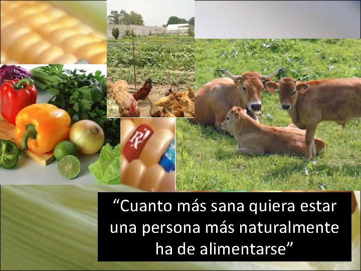 “Cuanto más sana quiera estar una persona más naturalmente ha de alimentarse” 