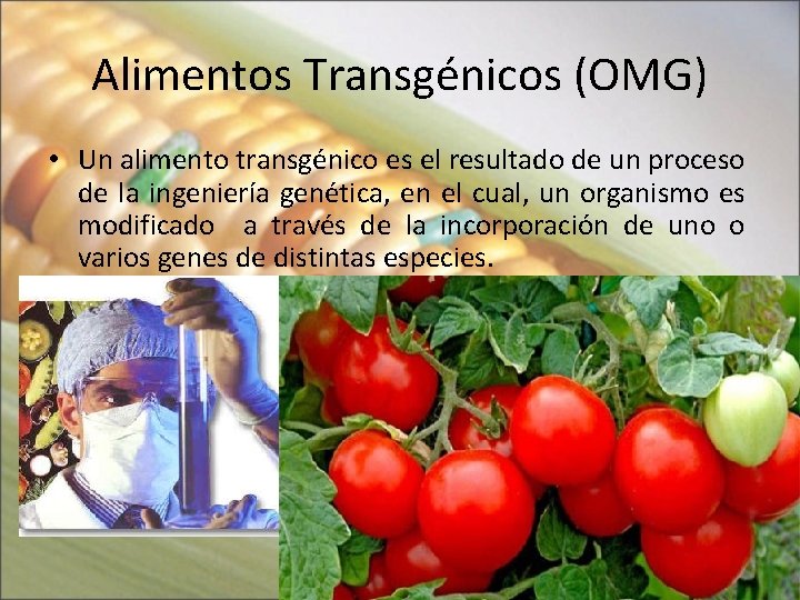 Alimentos Transgénicos (OMG) • Un alimento transgénico es el resultado de un proceso de