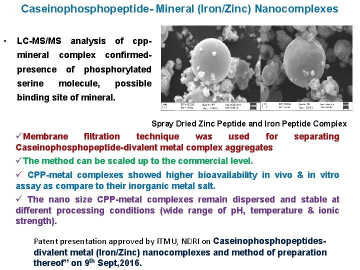 Caseinophosphopeptide- Mineral (Iron/Zinc) Nanocomplexes • LC-MS/MS mineral presence serine analysis complex of of cpp-