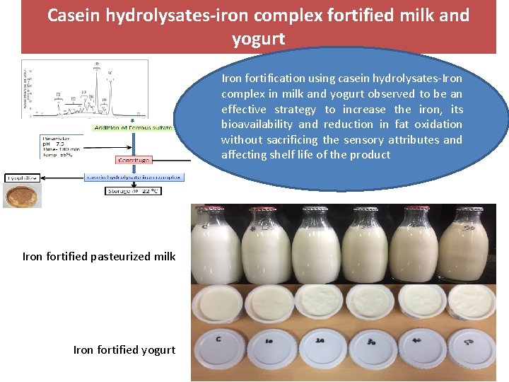 Casein hydrolysates-iron sensory propertiescomplex of milk and fortified milk and yogurt Iron fortification using