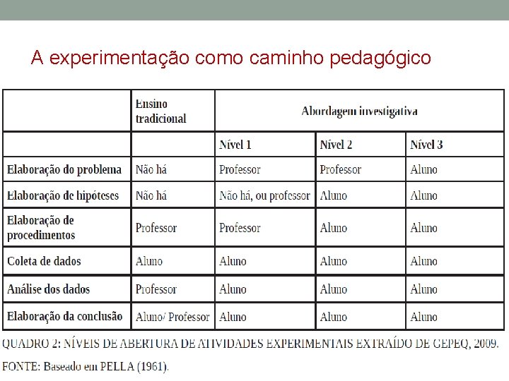 A experimentação como caminho pedagógico 