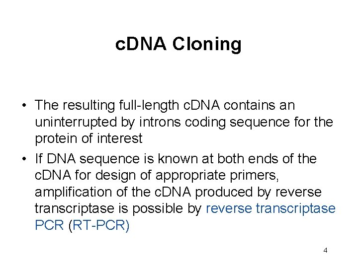 c. DNA Cloning • The resulting full-length c. DNA contains an uninterrupted by introns